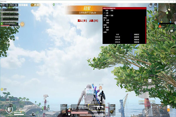 曙光大师452build276